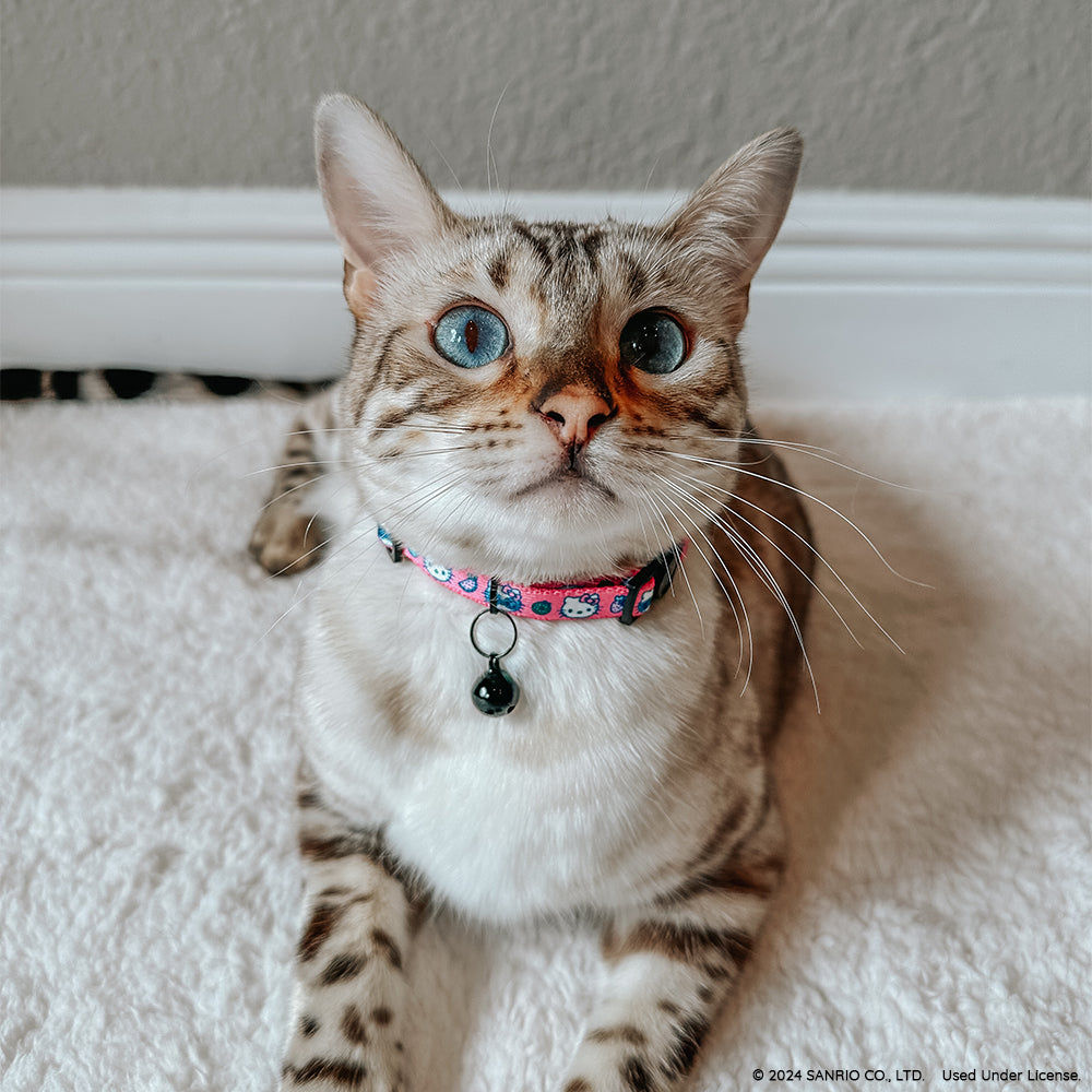 Pink Hello Kitty cat collar by Sassy Woof with a cute bow, perfect for stylish pet cats.