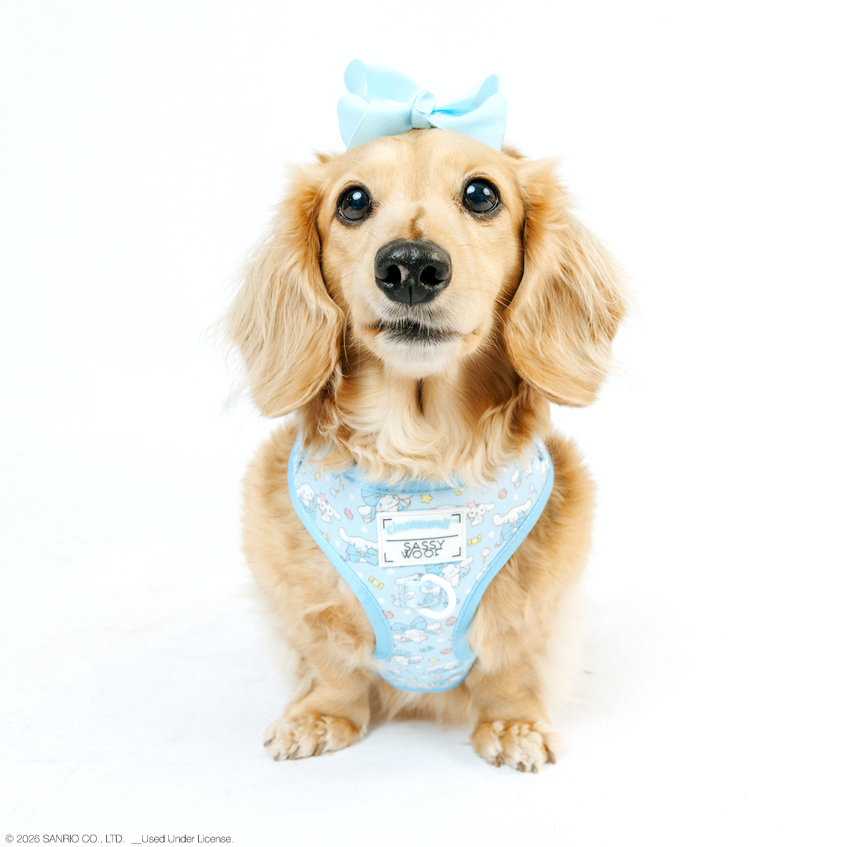 Dog adjustable harness featuring Cinnamoroll™ design by Sassy Woof, shown in XS size with soft, breathable material and cute character print.