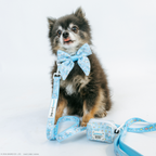 Sassy Woof Cinnamoroll™ dog collar in size S with a cute peanut patterned design, suitable for small pets.