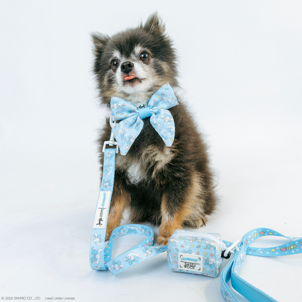 Dog leash featuring Cinnamoroll™ design from Sassy Woof, made for small pets, with a comfortable handle and durable material.