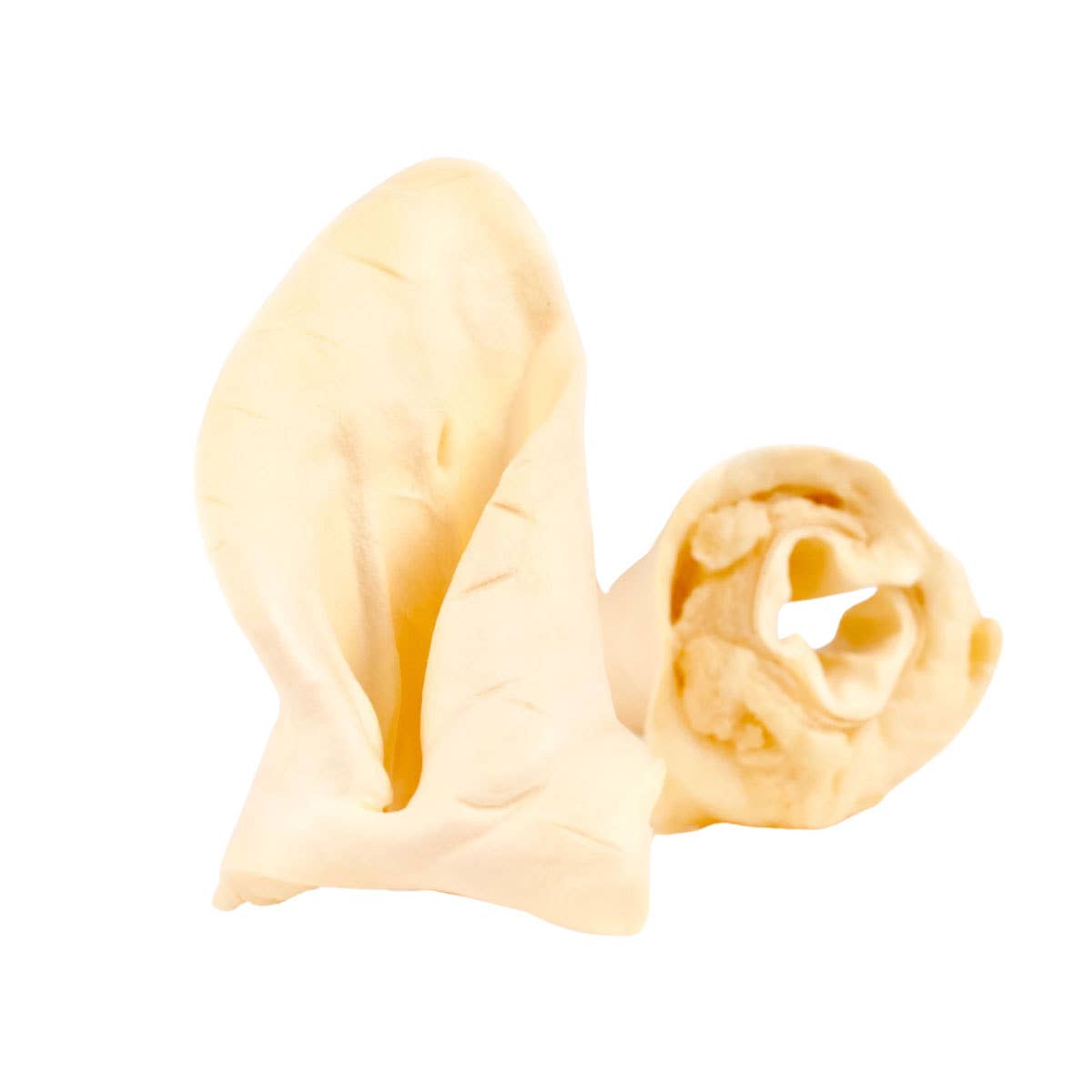 Cow Ear Chew for Dogs
