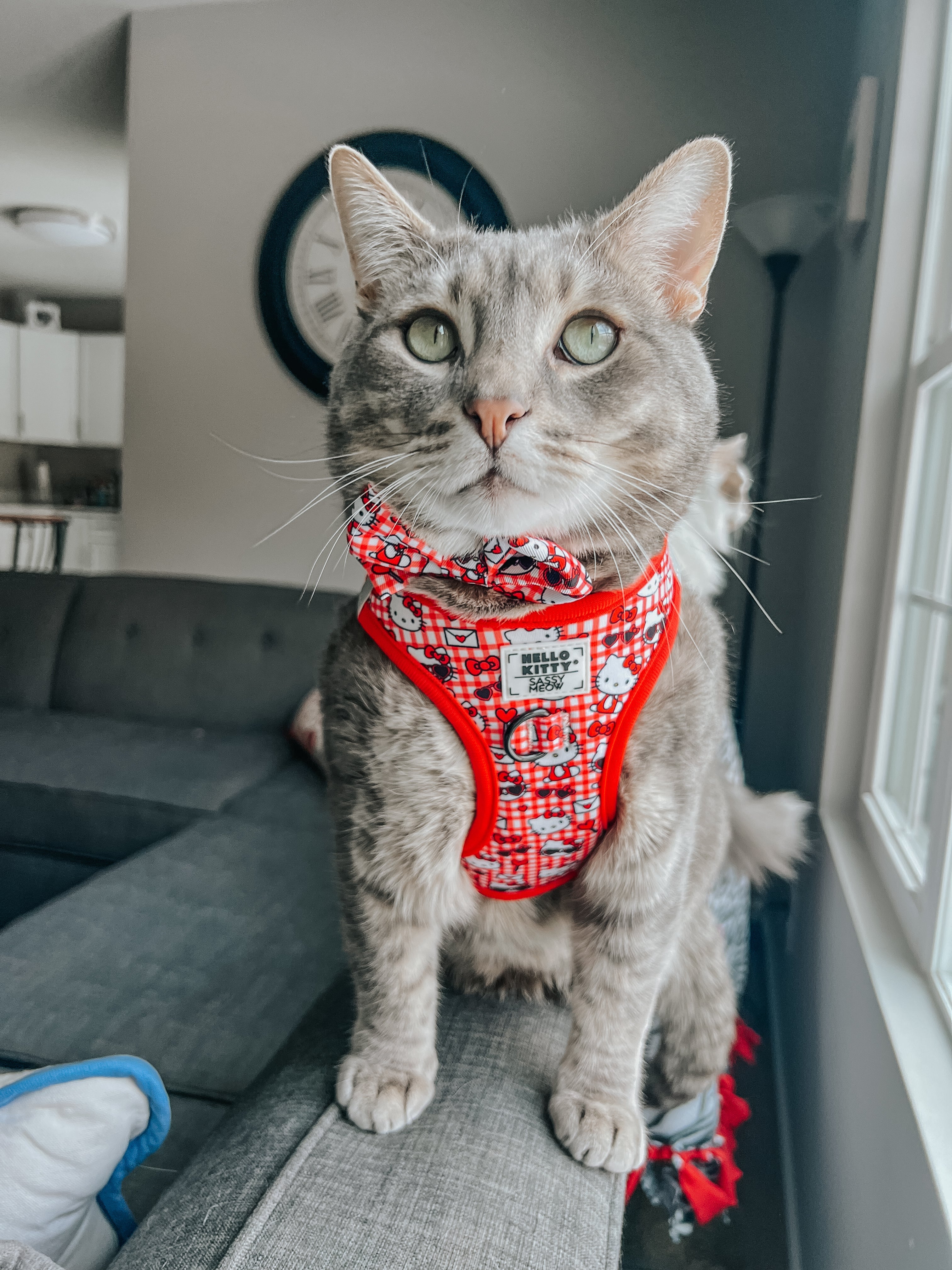 Red Hello Kitty cat collar from Sassy Woof's pet collar and harness bundle, featuring a cute Hello Kitty design for cats.