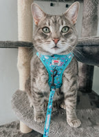 Sassy Woof Hello Kitty Aqua pet leash for cats, featuring a colorful Hello Kitty design and adjustable strap for comfortable walks.