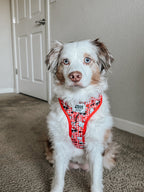 Red Hello Kitty® adjustable dog harness by Sassy Woof, featuring cute Hello Kitty® design on a pet collar and harness for small dogs.
