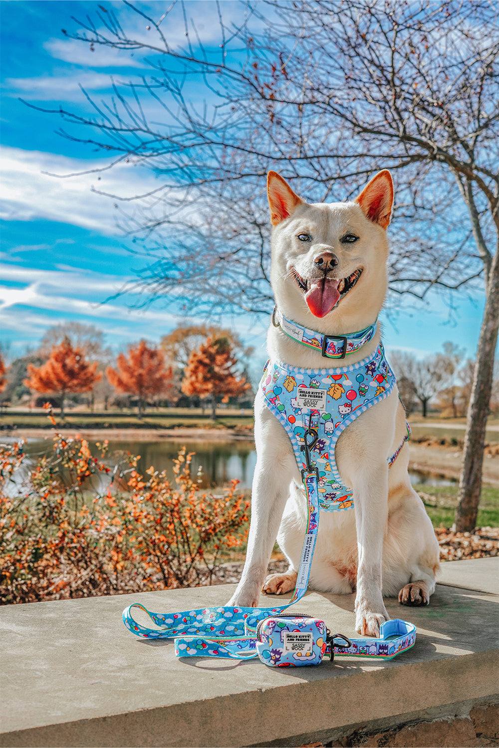 Sassy Woof Hello Kitty® & Friends in the Sky dog leash with colorful cartoon design on durable pet leash for walking.