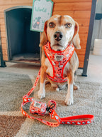 Red Hello Kitty® adjustable dog harness by Sassy Woof with classic cartoon design, featuring soft straps and metal buckle.