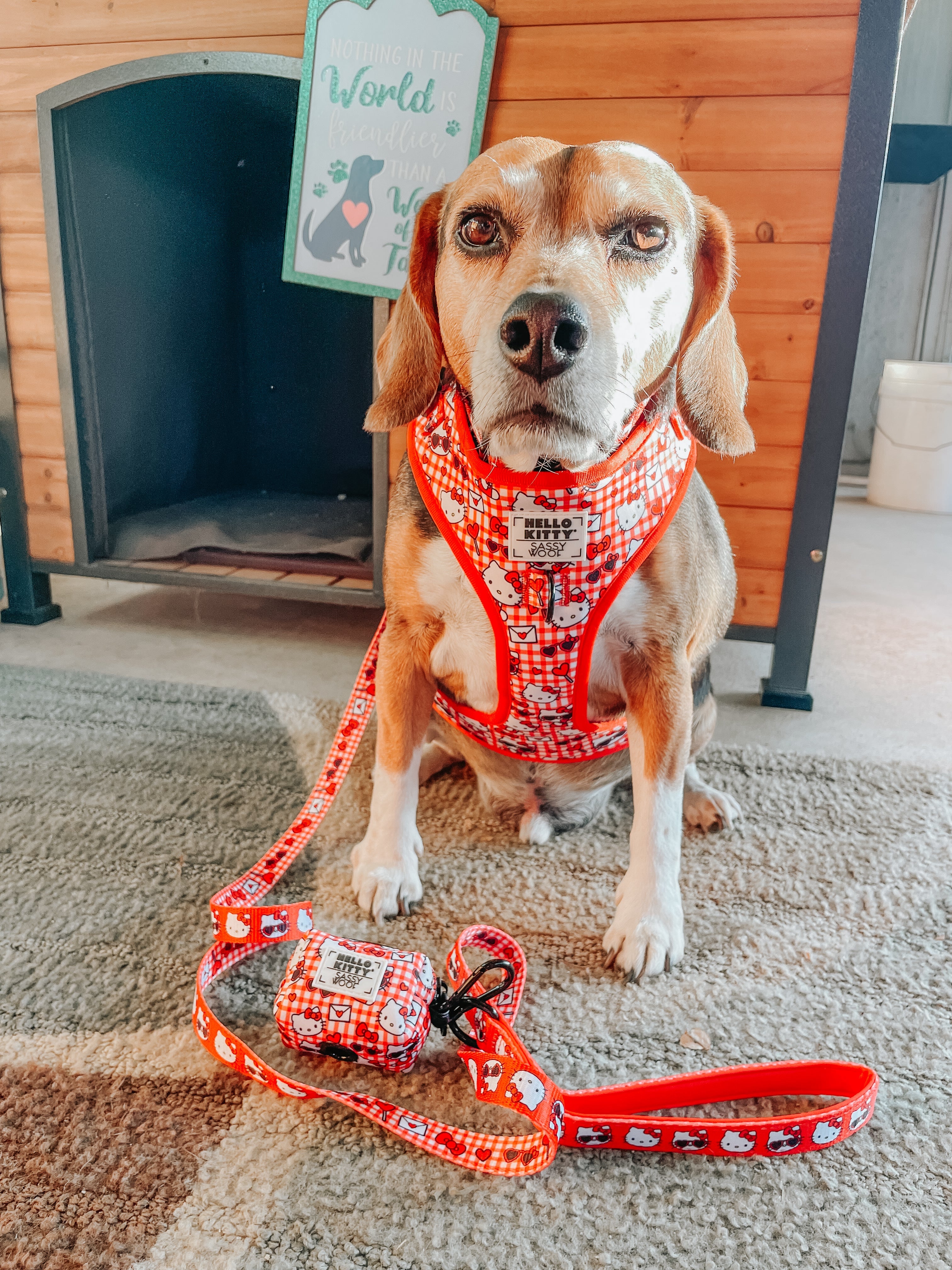 Red Hello Kitty® adjustable dog harness by Sassy Woof with classic cartoon design, featuring soft straps and metal buckle.