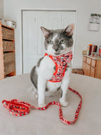 Red Hello Kitty pet leash by Sassy Woof featuring classic Hello Kitty design for cats.