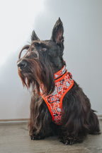 Red Hello Kitty® adjustable dog harness by Sassy Woof, featuring a cute Hello Kitty design on a bright red background.