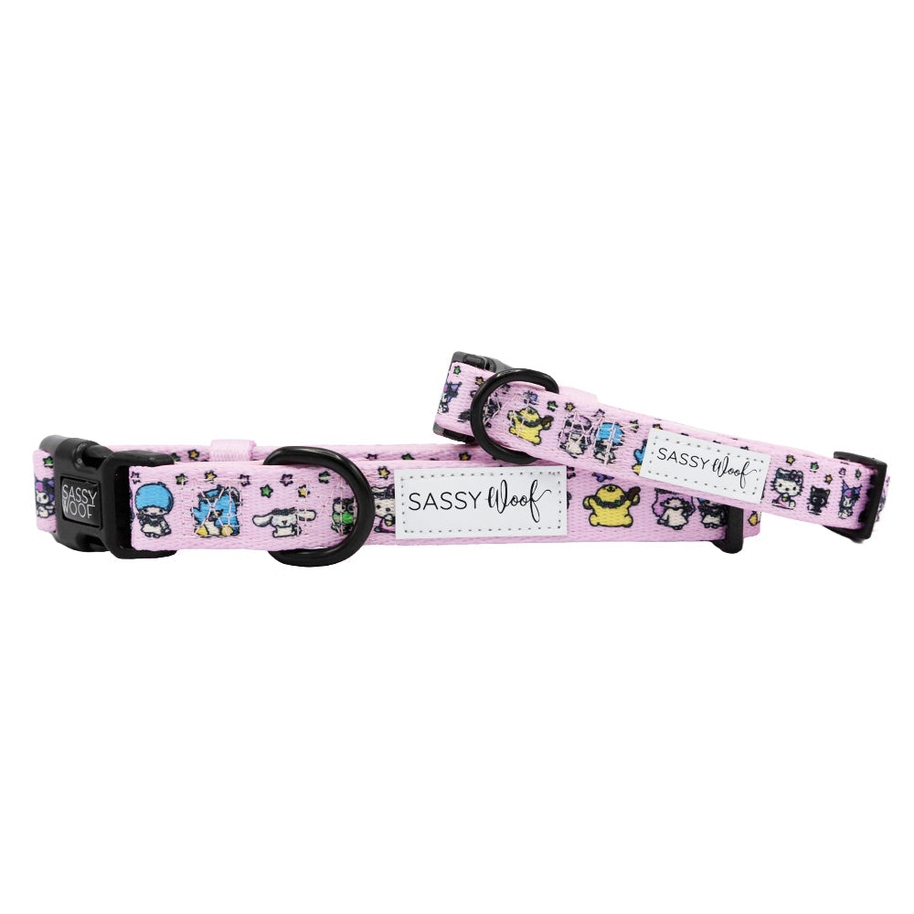 Pink Hello Kitty & Friends flower festival dog collar by Sassy Woof, featuring colorful floral design for small pets.