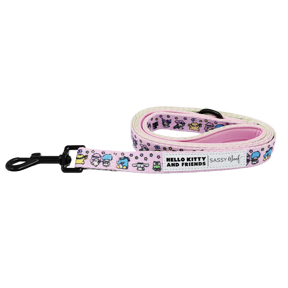 Pink Hello Kitty & Friends Flower Festival dog leash by Sassy Woof, featuring colorful floral and character design for pets.