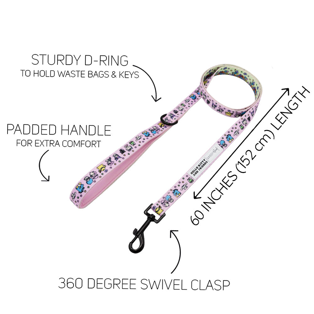 Pink Hello Kitty and Friends flower-themed dog leash from Sassy Woof, part of the two-piece pet collar and harness bundle.