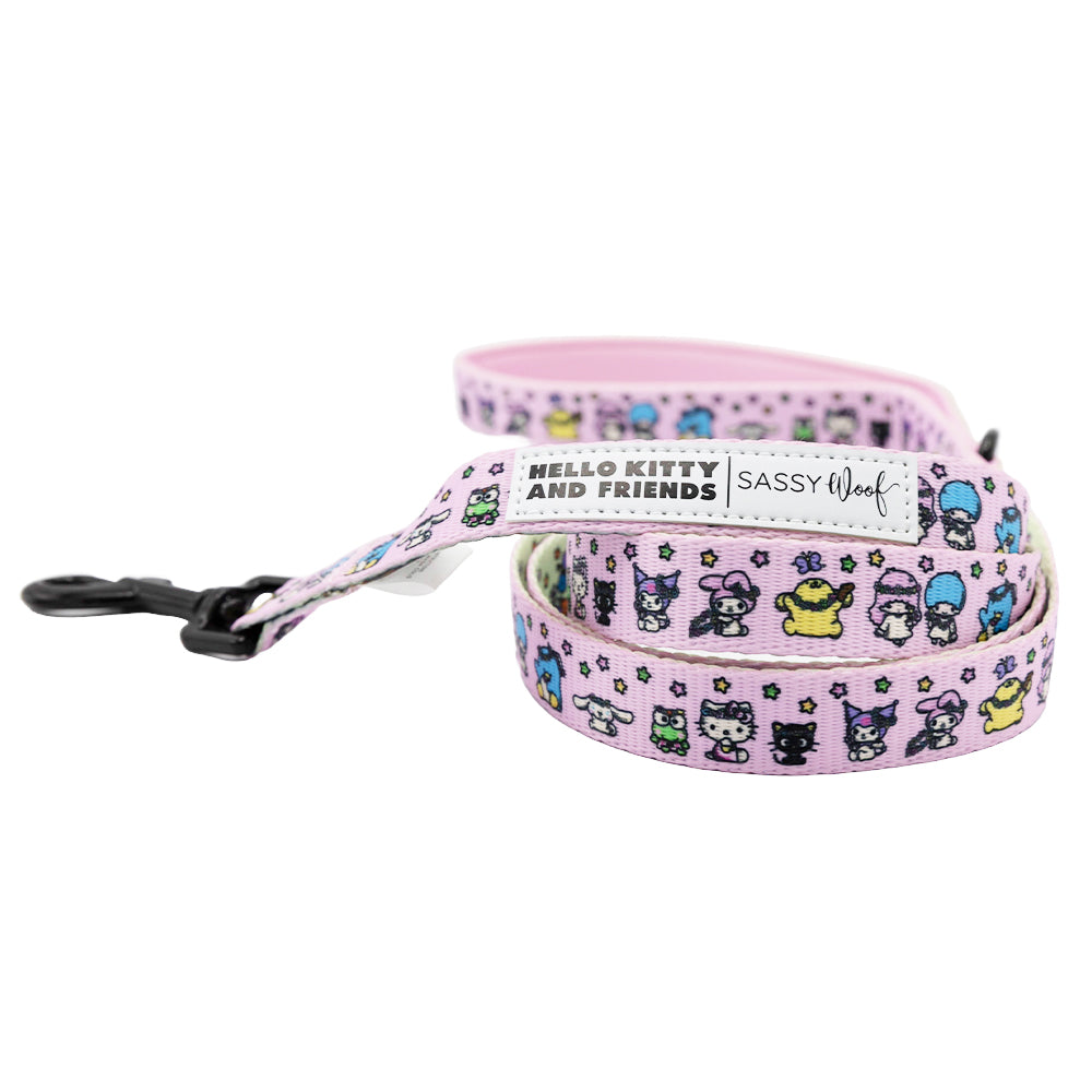 Pink Hello Kitty and Friends flower festival dog leash from Sassy Woof's two-piece pet collar and harness bundle.