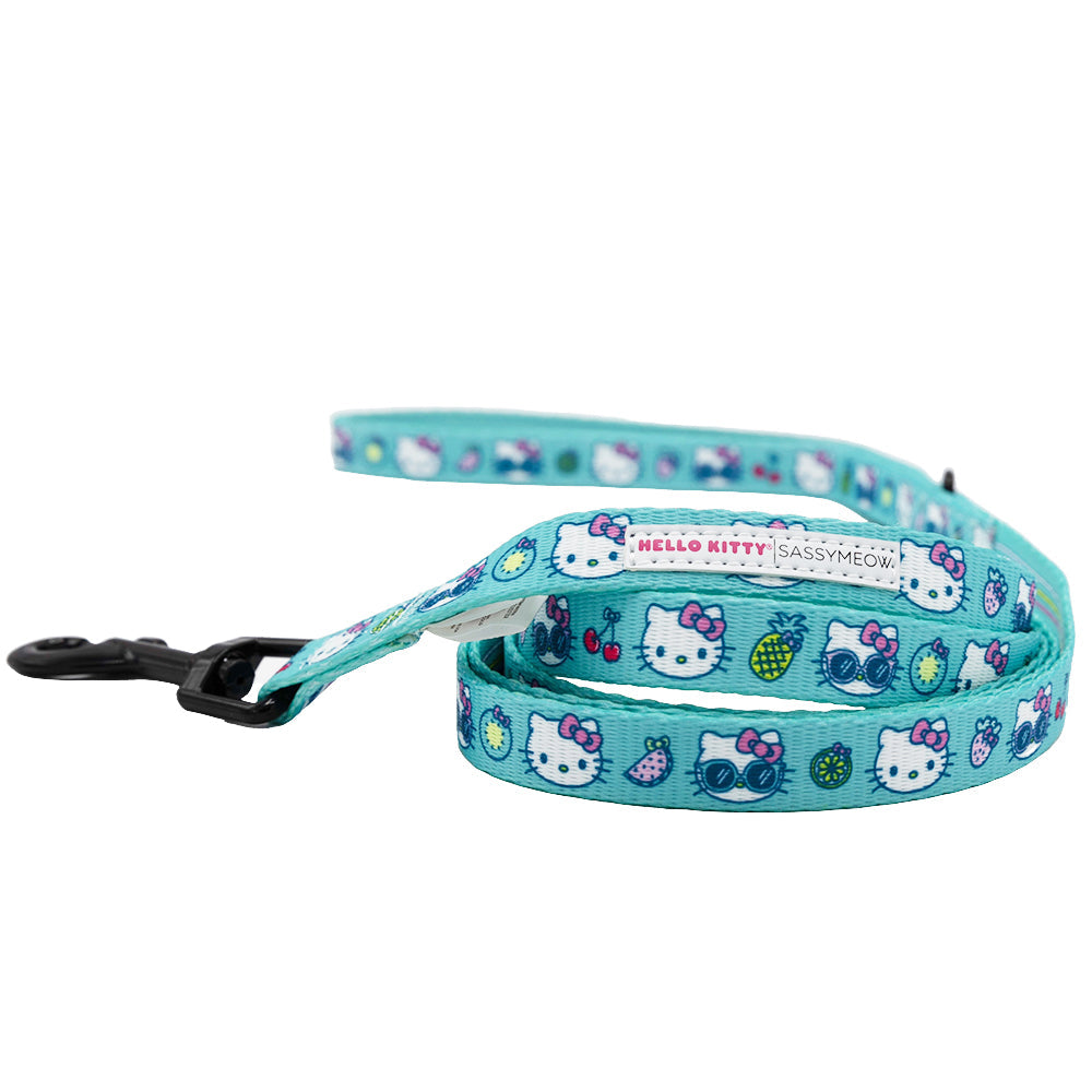 Hello Kitty aqua pet leash by Sassy Woof featuring a blue design with Hello Kitty character for cats.