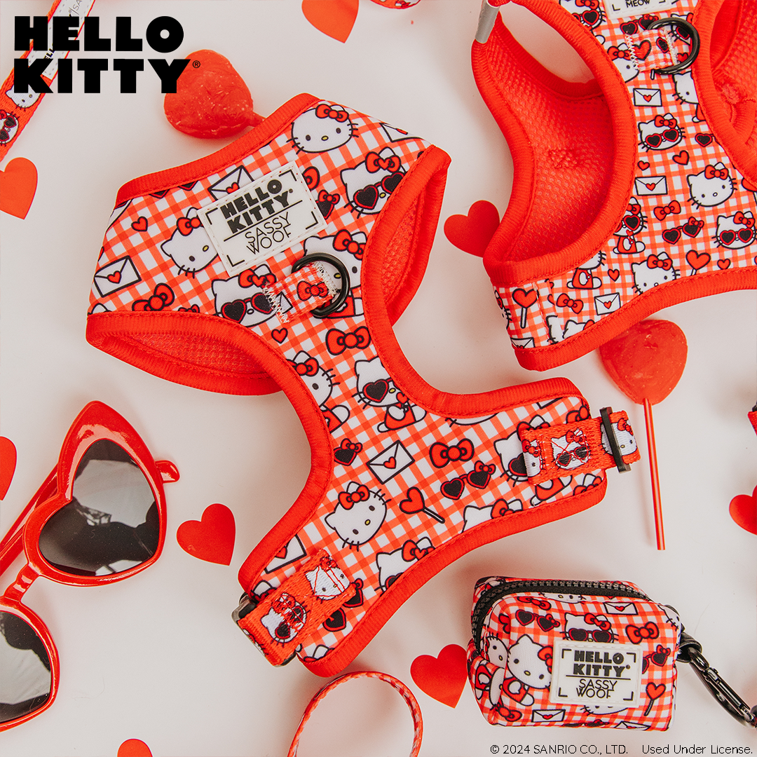Red Hello Kitty dog adjustable harness by Sassy Woof, featuring cute Hello Kitty design and secure fit for pets.