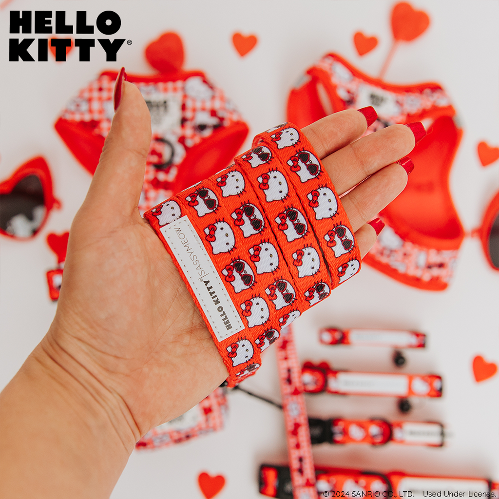 Red Hello Kitty pet leash by Sassy Woof, featuring classic Hello Kitty design and a secure clasp for walking cats.