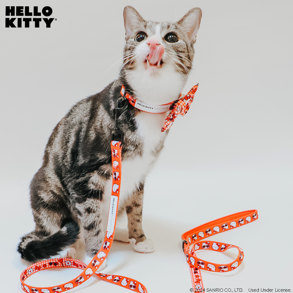 Red Hello Kitty pet leash by Sassy Woof featuring a cute cat model, perfect for walking cats in style.