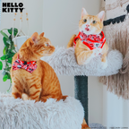 Red Hello Kitty cat step-in harness by Sassy Woof, featuring a cute Hello Kitty design on a pet collar and harness for cats.