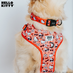 Red Hello Kitty dog collar by Sassy Woof on a pet model, featuring a cute Hello Kitty design and adjustable strap.