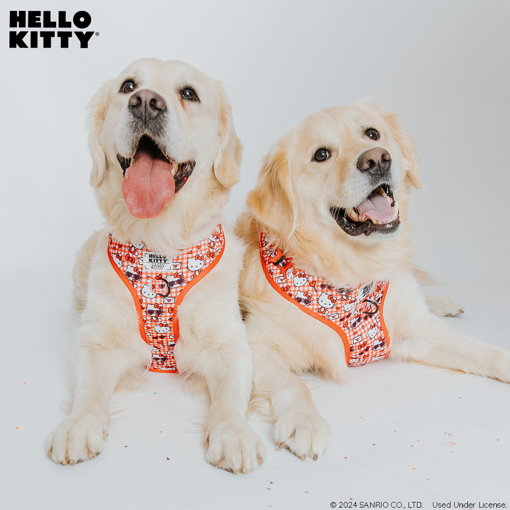 Red Hello Kitty dog harness by Sassy Woof, adjustable pet harness with adorable Hello Kitty design on a dog model.