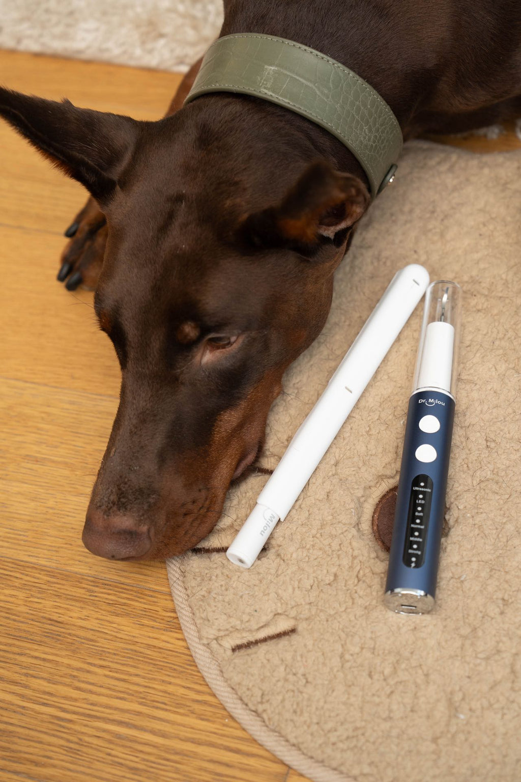 Anesthesia-free pet dental cleaning kit with ultrasonic tartar remover and electric toothbrush for dogs and cats by Dr. Milou.