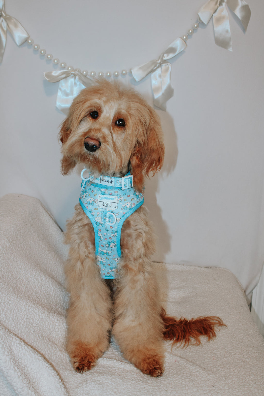 Soft white dog collar with Cinnamoroll™ character print from Sassy Woof, designed for small pets.