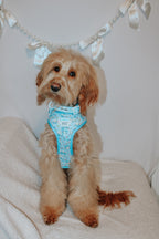 Soft white dog collar with Cinnamoroll™ character print from Sassy Woof, designed for small pets.