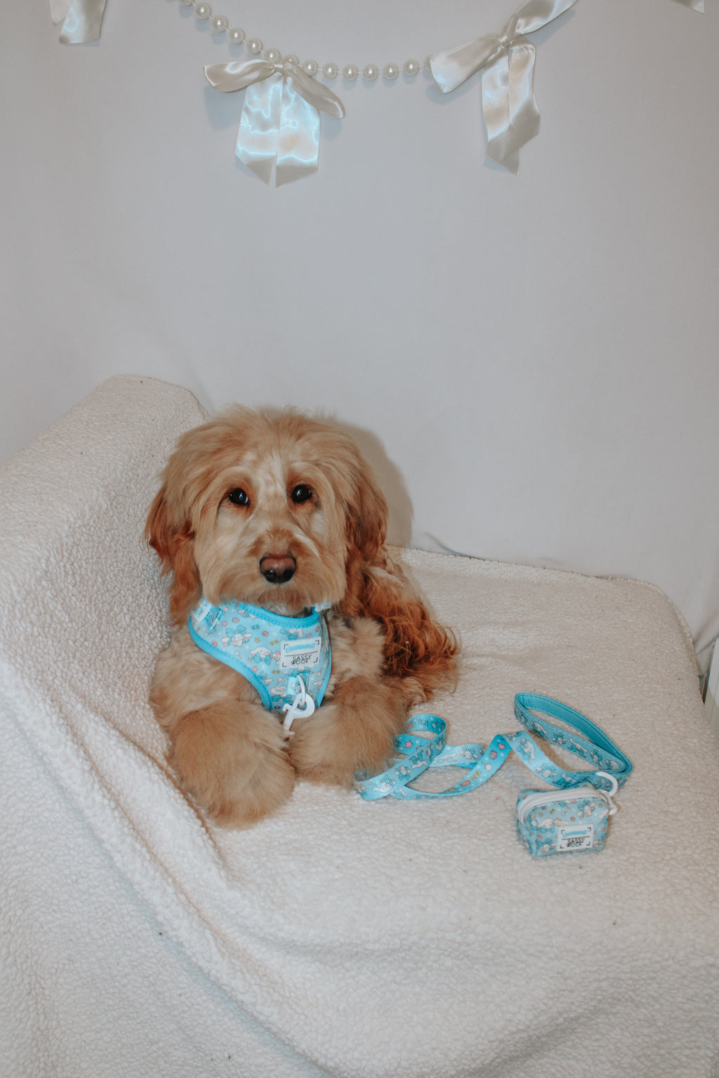 Soft pink Cinnamoroll™ dog leash by Sassy Woof with cute character design, featuring a comfortable handle and durable material.