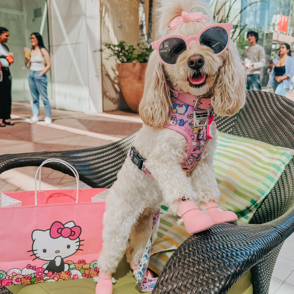 Sassy Woof Dog Two Piece Bundle with Hello Kitty® and Friends Flower Festival pet collars and harnesses on a white background.
