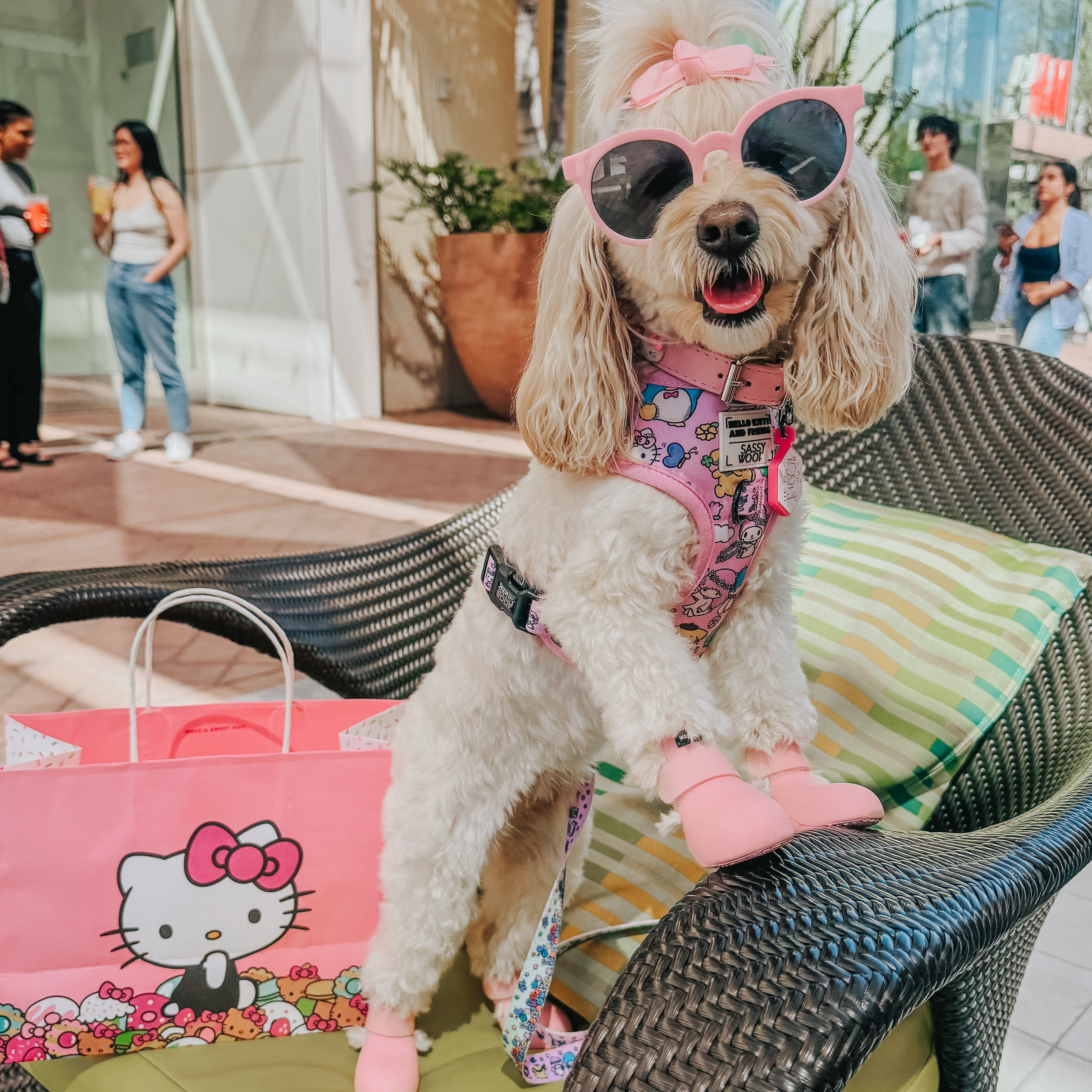Adjustable Hello Kitty® & Friends Flower Festival dog harness by Sassy Woof, featuring colorful floral patterns on a comfortable harness.