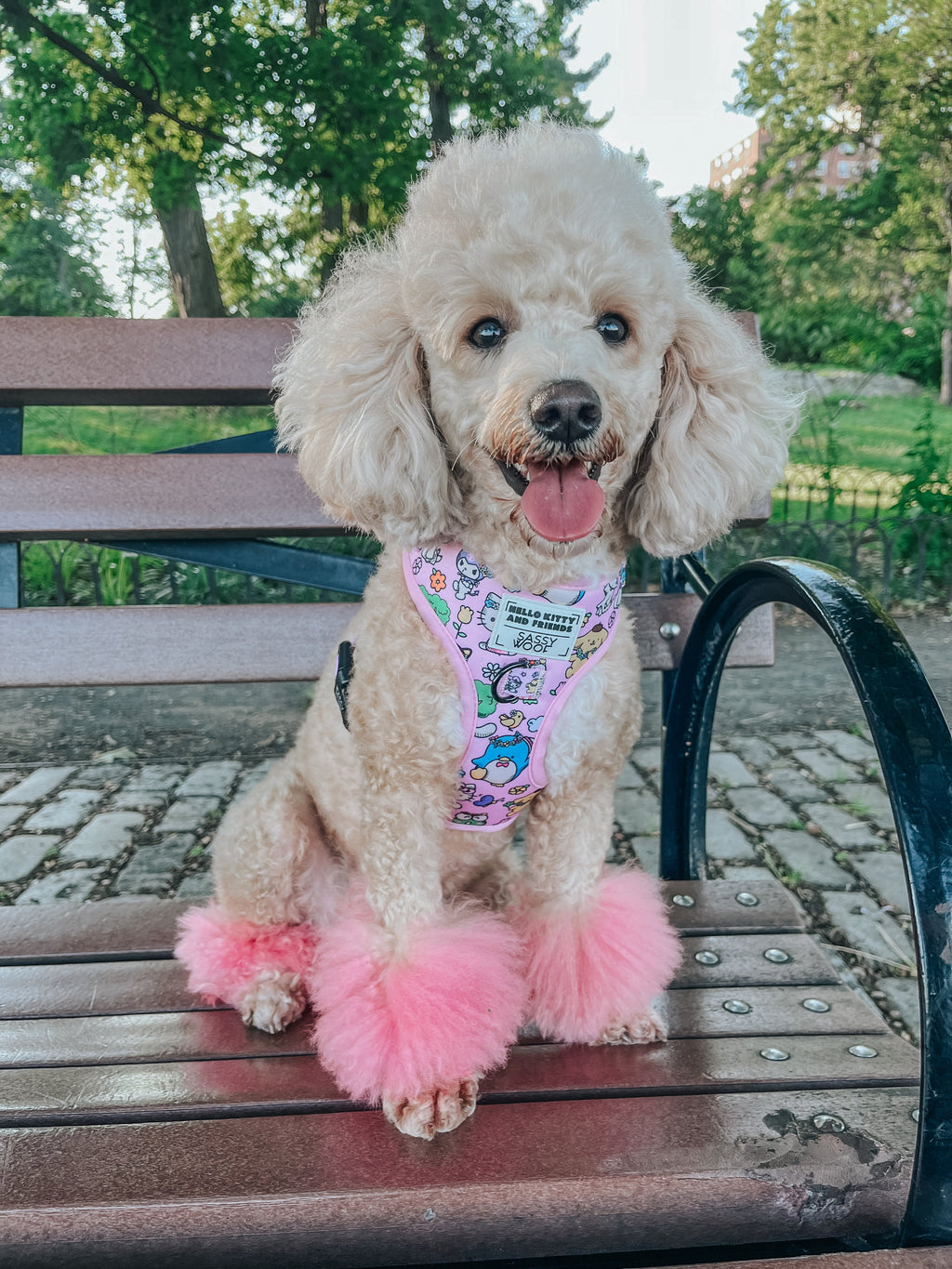 Dog two-piece bundle with Hello Kitty® and Friends Flower Festival pet collars and harnesses by Sassy Woof.