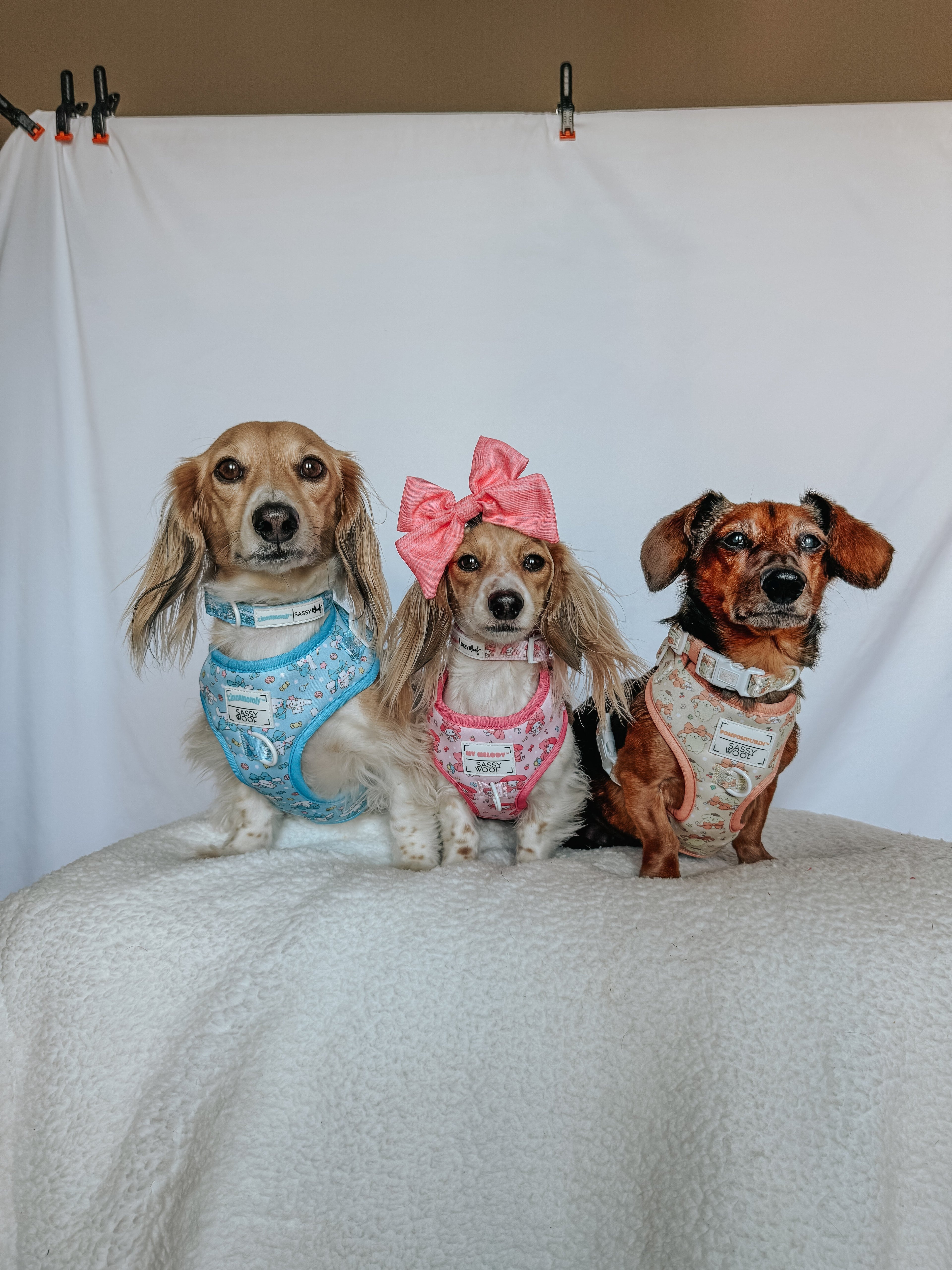 Dog adjustable harness from Sassy Woof's My Melody™ collection, featuring a colorful floral pattern and secure fit.