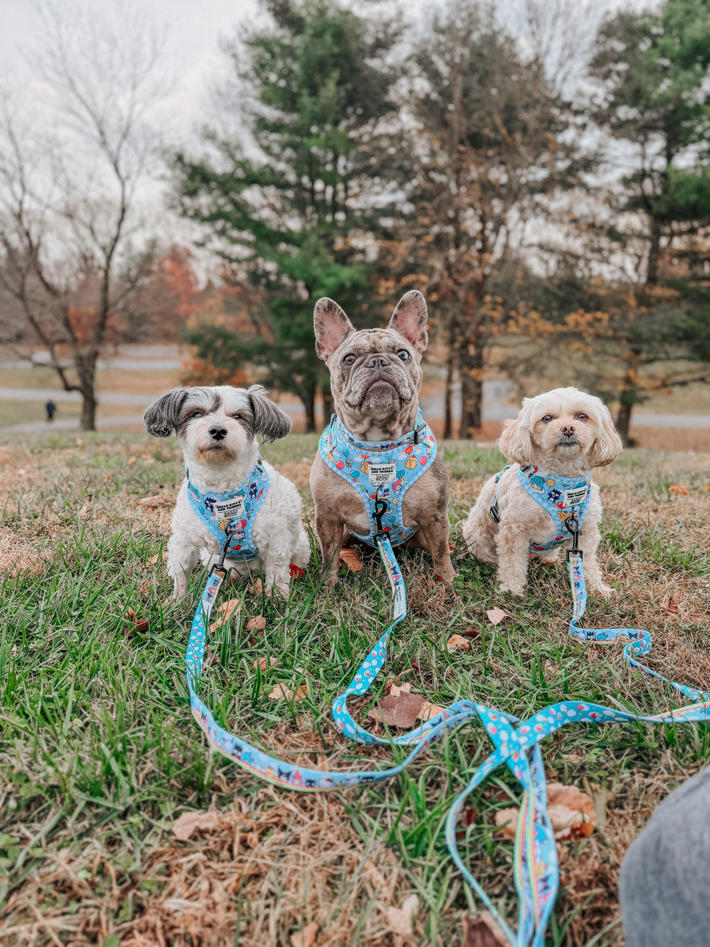 Dog adjustable harness featuring Hello Kitty® and Friends design by Sassy Woof, with colorful sky-themed patterns on a soft fabric.