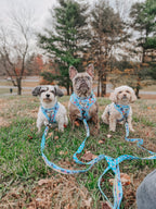 Dog adjustable harness featuring Hello Kitty® and Friends design by Sassy Woof, with colorful sky-themed patterns on a soft fabric.