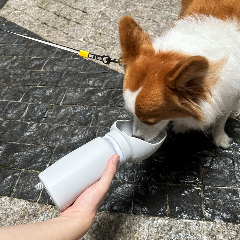 Portable collapsible pet water bottle by Dr. Milou, featuring a compact design with a built-in water bowl for pets on the go.
