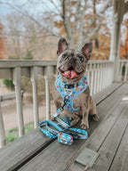 Sassy Woof Hello Kitty® & Friends in the Sky dog leash with colorful character print for small to medium pets.