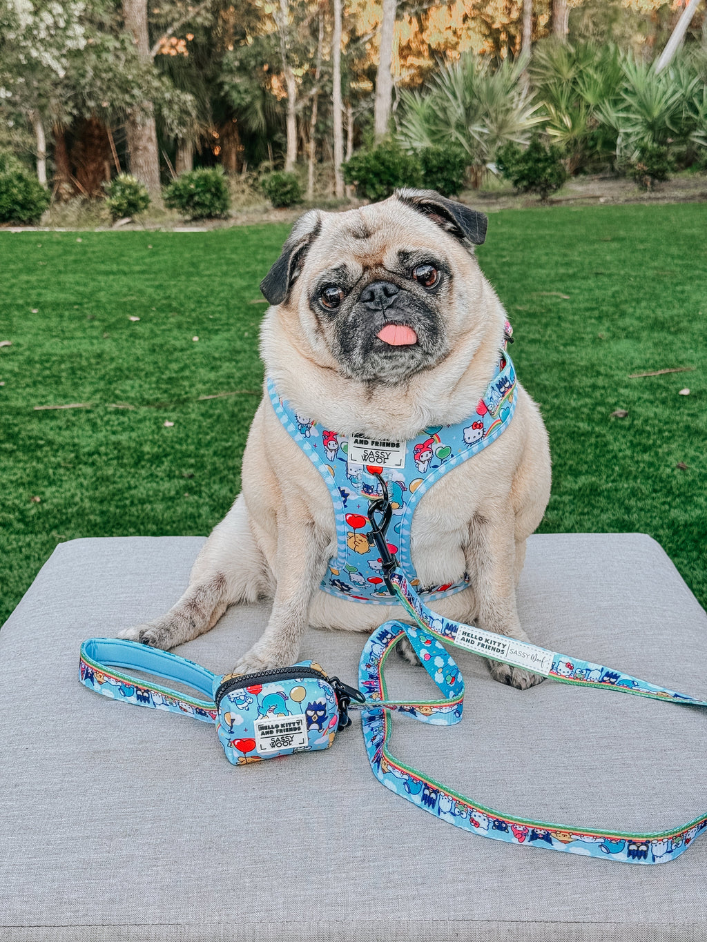 Dog collar and harness bundle featuring Hello Kitty® & Friends in the Sky designs by Sassy Woof, with colorful cartoon characters.