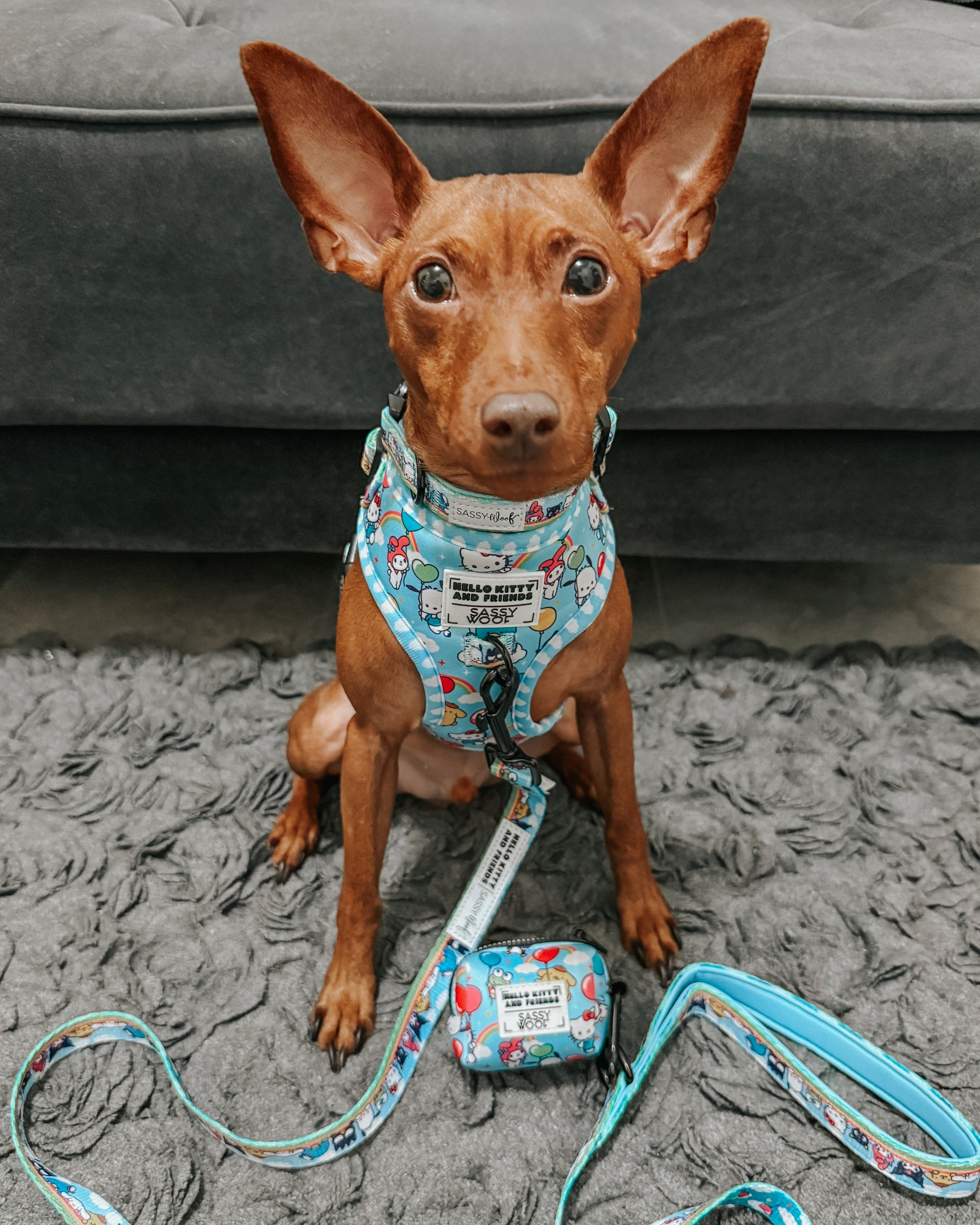 Dog leash featuring Hello Kitty® and friends design from Sassy Woof, with colorful sky-themed prints, suitable for small to medium dogs.