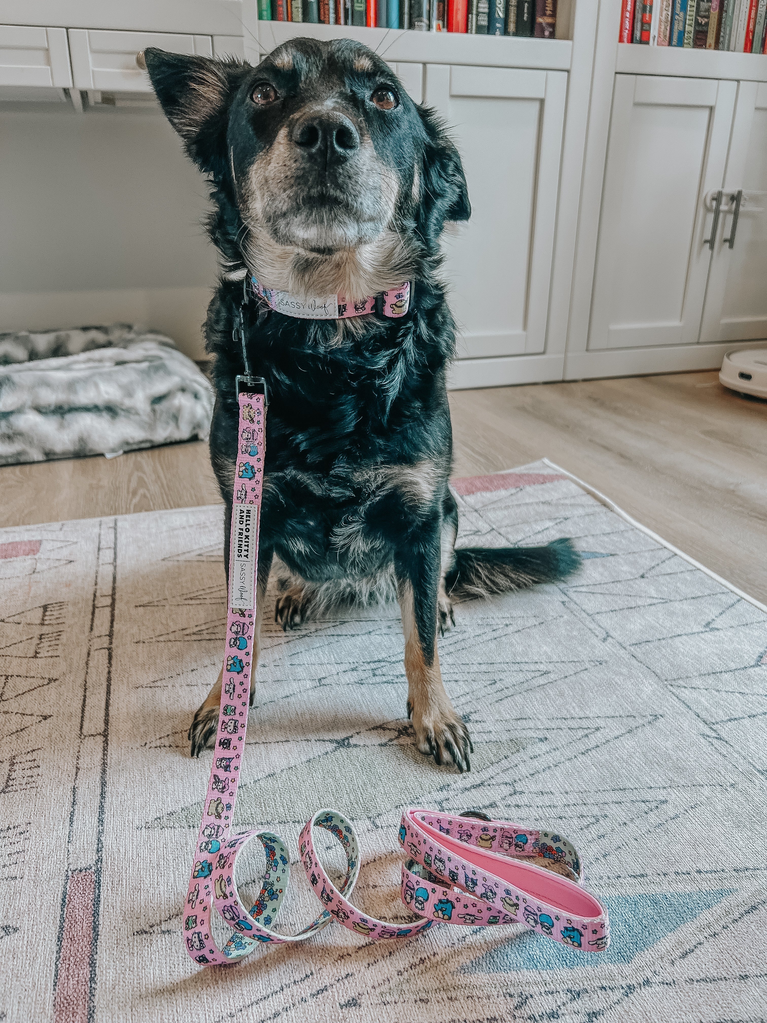 Sassy Woof Hello Kitty Flower Festival dog collar with colorful floral pattern on a pink background.