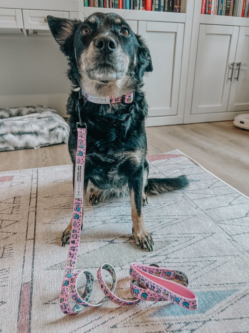 Sassy Woof Hello Kitty® & Friends Flower Festival dog leash with colorful floral pattern, durable pet leash for small and medium dogs.
