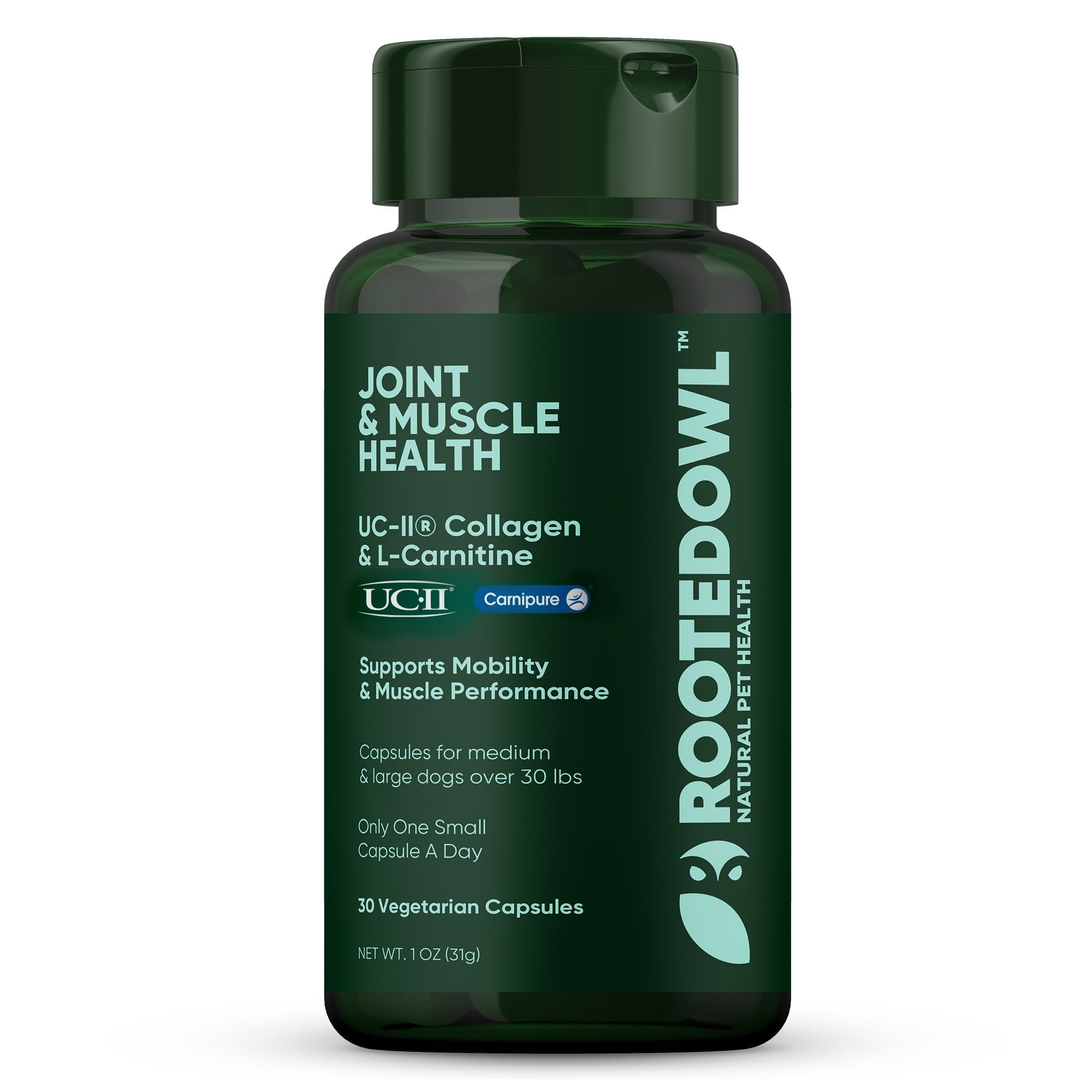 Rooted Owl Pet Supplements joint and muscle health supplement for medium and large dogs, showing a happy, active dog outdoors.