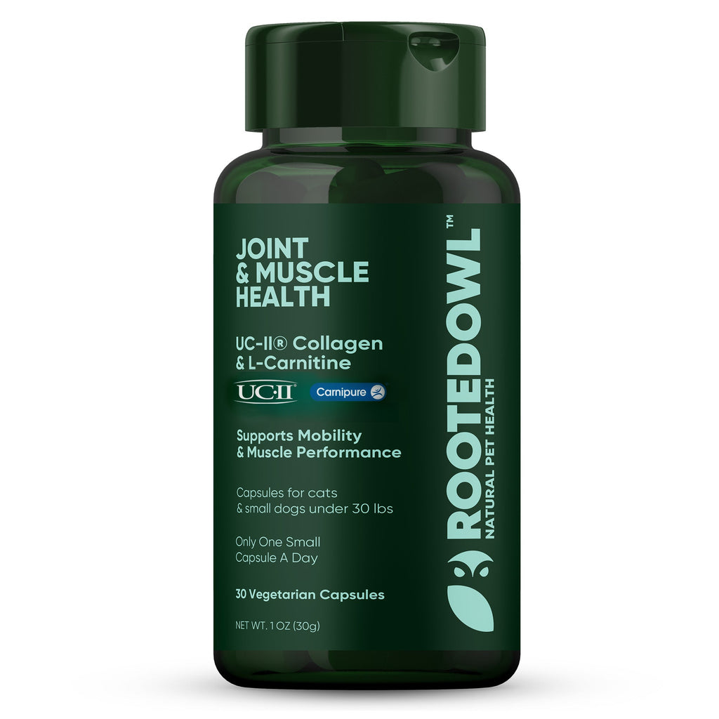 Rooted Owl Pet Supplements joint and muscle health supplement for cats and small dogs, showing the product container and ingredients.