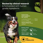 Rooted Owl Pet Supplements joint and muscle health supplement for medium and large dogs, showing the product bottle and label.