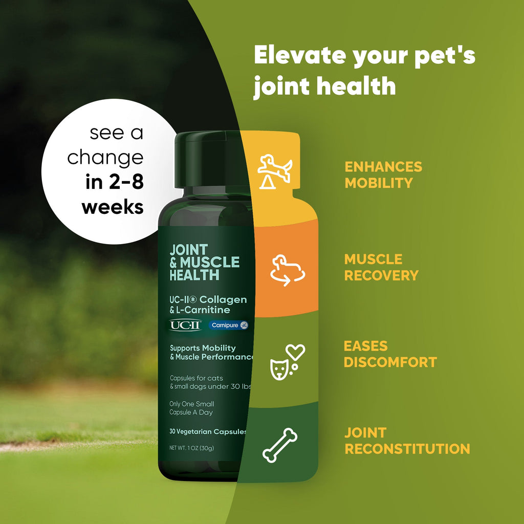 Rooted Owl Pet Supplements joint and muscle health supplement for medium and large dogs, showing the product packaging.