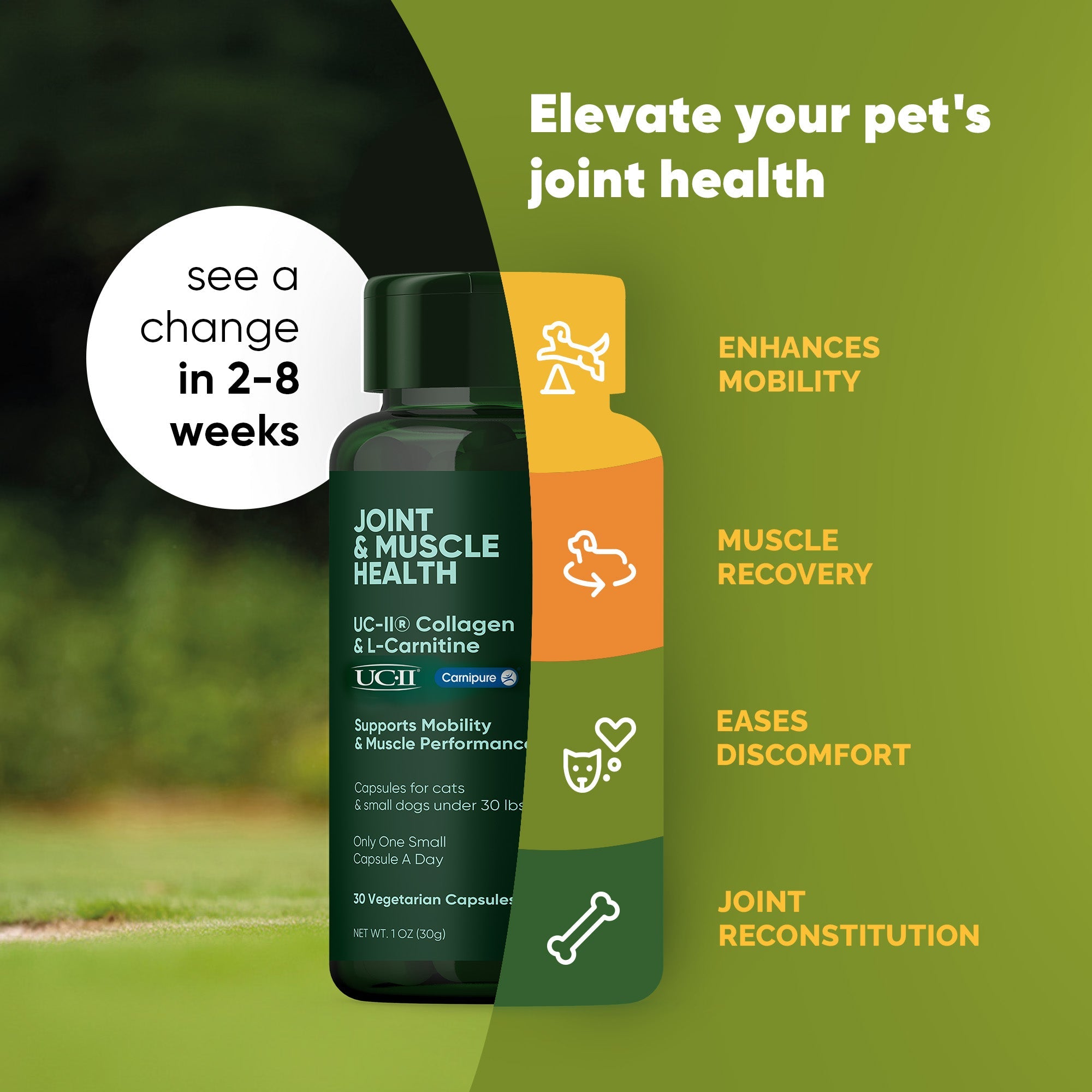 Rooted Owl Pet Supplements joint and muscle health supplement for medium and large dogs, showing the product packaging.