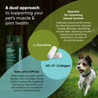 Rooted Owl Pet Supplements joint and muscle health supplement for medium and large dogs, showing the product packaging.