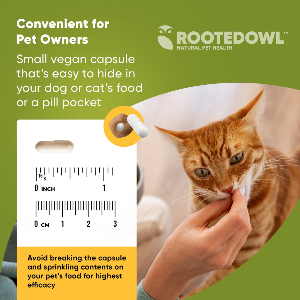 Rooted Owl Pet Supplements joint and muscle health supplement for medium and large dogs, featuring natural ingredients and supportive formula.
