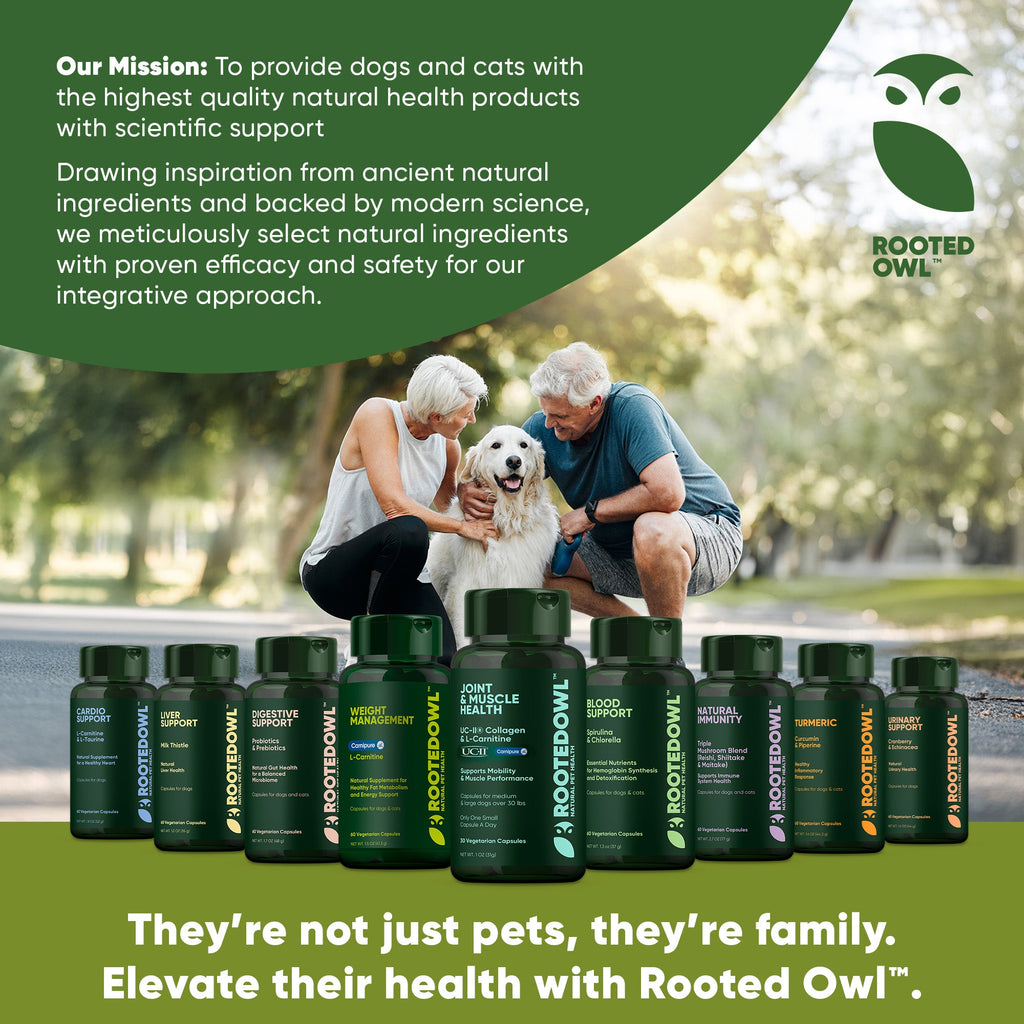 Rooted Owl Pet Supplements joint and muscle health supplement for medium and large dogs, featuring natural ingredients and supportive formula.
