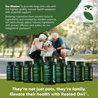 Rooted Owl Pet Supplements joint and muscle health supplement for medium and large dogs, featuring natural ingredients and supportive formula.