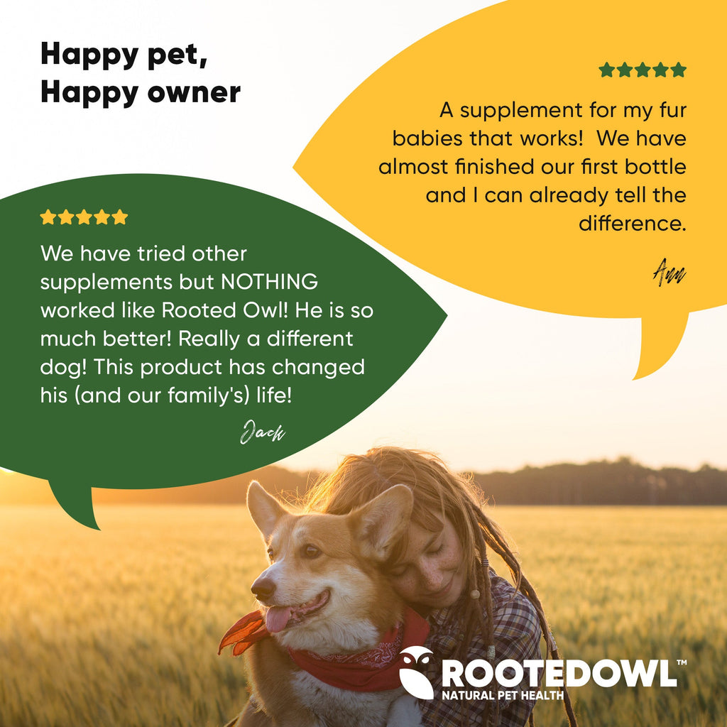 Rooted Owl Pet Supplements Joint & Muscle Health supplement for medium and large dogs, showing a healthy dog and supplement packaging.
